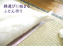 素材について
